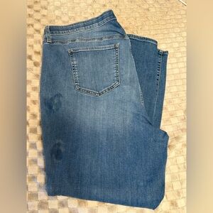 Torrid Jeans